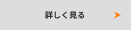 詳しく見る